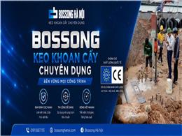 Tiêu Chuẩn ETA Có ý Nghĩa Gì Trong Khoan Cấy Thép?